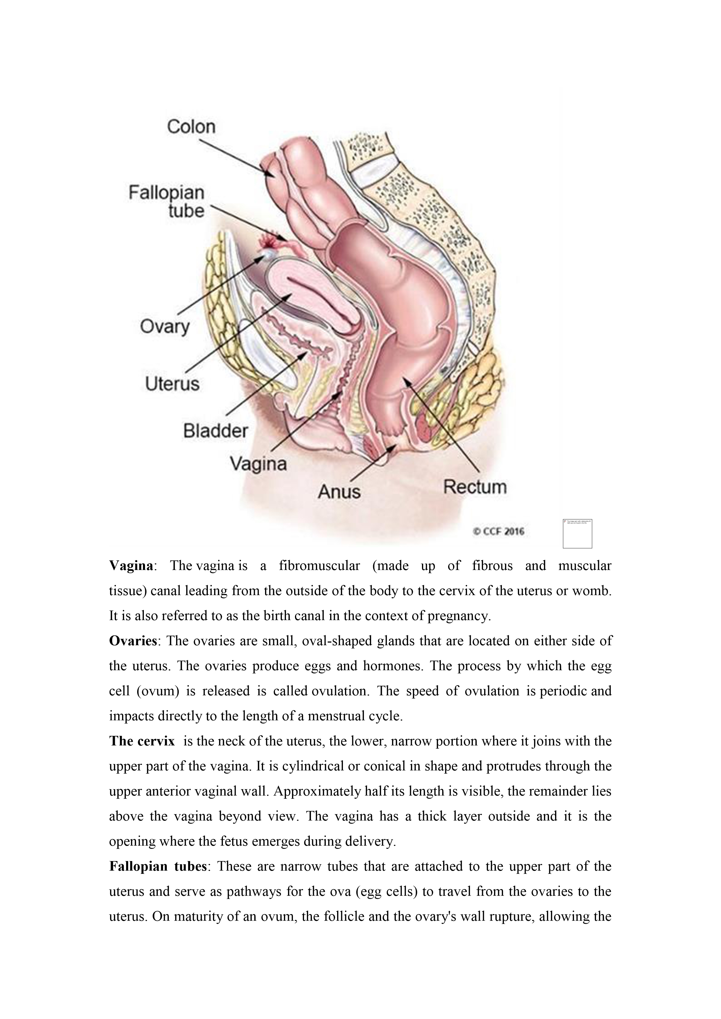 No preview available